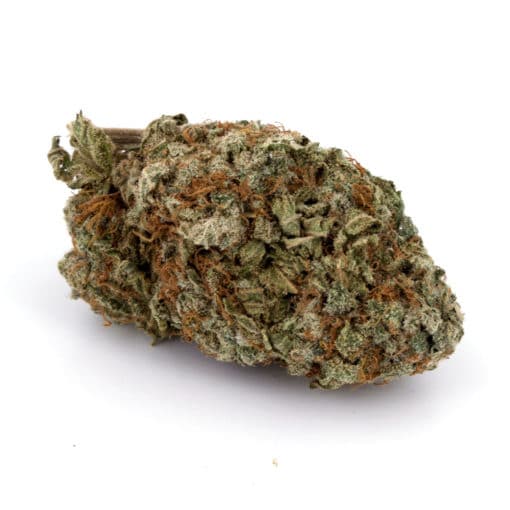 godsgreencrack2