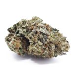 Black Tuna (AAA)