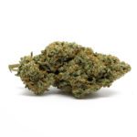 White Shark OG (AAA)