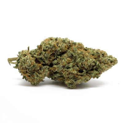 White Shark OG (AAA)