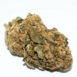 Tangerine Dream (AA)