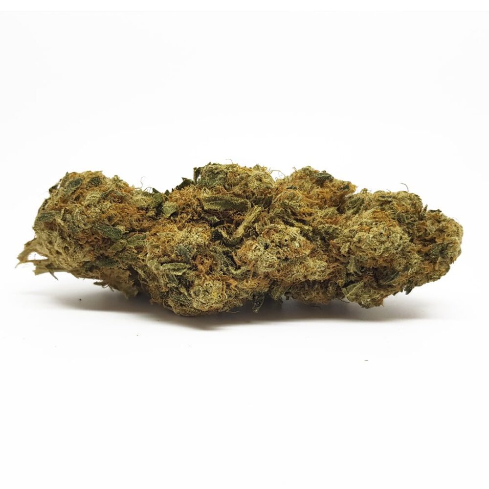 1080_burmesekush_aaa