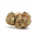 Chemo (AAA)