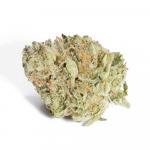 Grape LA (AAAA)
