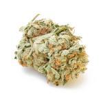 Chemo (AA)