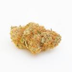 Romulan (AA)