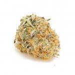 Bruce Banner (AAA)