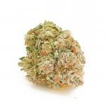 Grease Monkey (AAA)