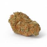 Northern Lights (AA)