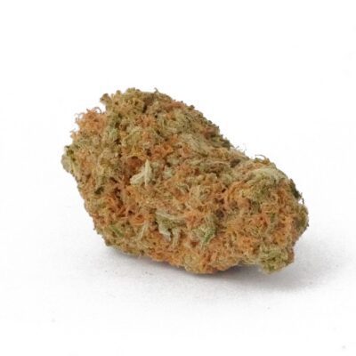 Northern Lights (AA)