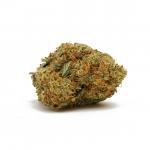 Alaskan Thunder Fuck (AAA)