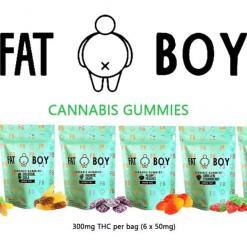 Fat Boy Cannabis Gummies (300mg THC) – Pick A Flavour