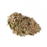 Trainwreck - Popcorn Nugs (AAA)