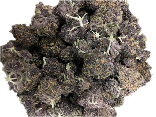 Ayahuasca Purple Bulk