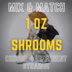 1 Ounce Shrooms – Mix & Match – Choose 4 Strains
