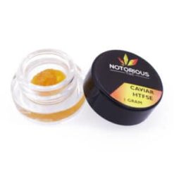 Notorious THC Live Resin Caviar – Choose Your Strain