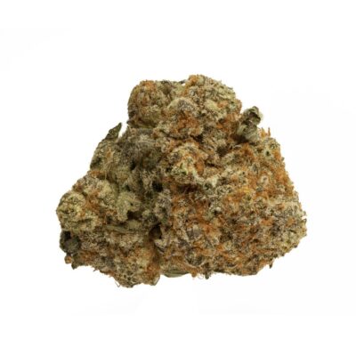 Orange Sorbet (AAAA)