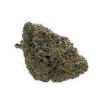 Cheese Quake (AAAA)